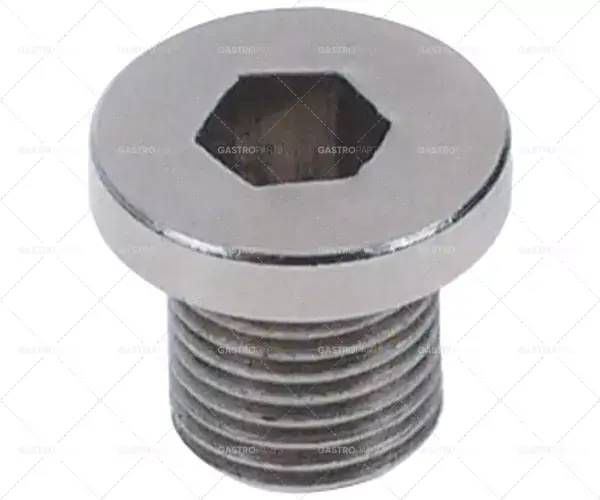 šroub vnitřní šestihranný závit M10x1 závit L 10mm WS 6 pro oplachovací rameno Omezená Nabídka