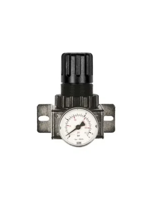 Akční Nabídka Regulátor tlaku DR Ac 1/2", 12 bar