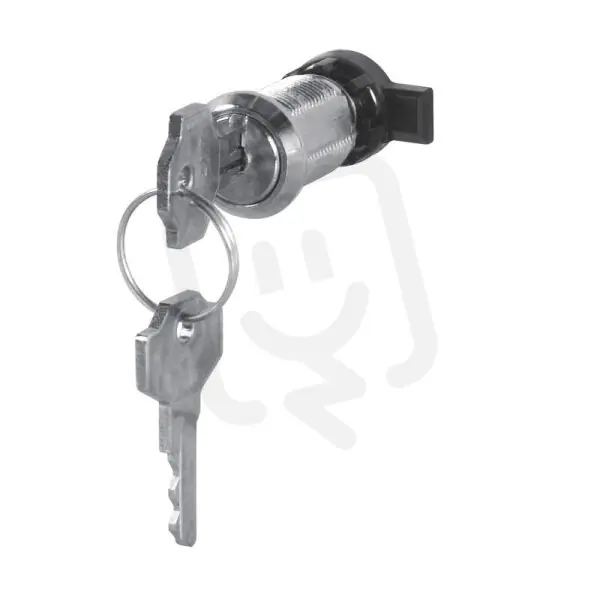 Časově Omezené Zámek s klíčem pro skříně FLAT METAL IP40 SCAME 654.0074